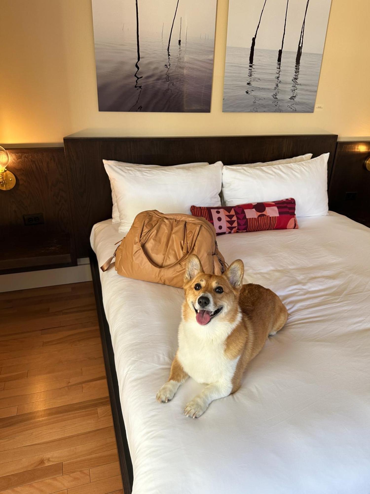The Francis Hotel Portland Extérieur photo